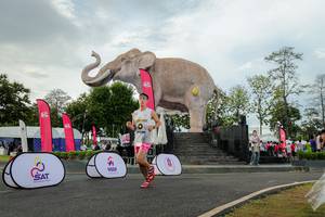 BIB: 
                            <button type="button" onclick="openModal(26528408)" class="btn btn-primary btn-sm float-right btn-popup" data-toggle="modal" data-target=".modal-high-quality">
                        <i class="fas fa-shopping-cart"></i> Add to Cart
                    </button>
                                            <button type="button" onclick="isThisMe(26528408, true)" class="btn btn-success btn-sm float-right btn-popup btn-isme hidden" data-toggle="tooltip" data-placement="bottom" title="นี่คือรูปของคุณใช่ไหม คลิกที่นี่เพื่อเอาเข้าอัลบั้ม">
                        <i class="fas fa-plus"></i> Add to album
                    </button>
                    <button type="button" onclick="isThisMe(26528408, false)" class="btn btn-warning btn-sm float-right btn-popup btn-isnotme hidden">
                        <i class="fas fa-ban"></i> Remove from album
                    </button>